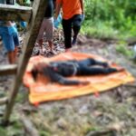 Oplus_131072