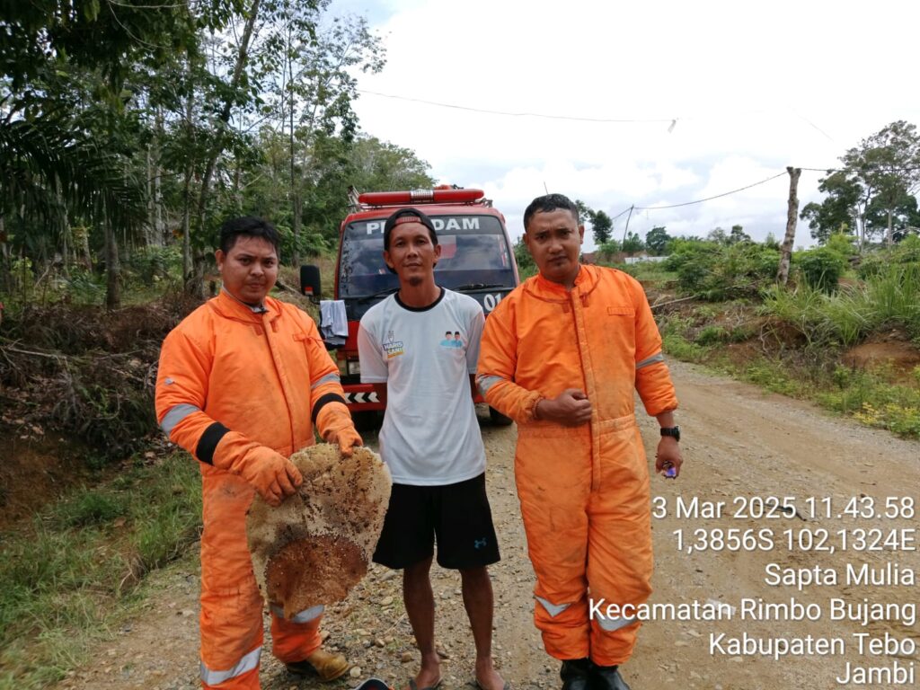IMG-20250303-WA0046