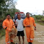 IMG-20250303-WA0046
