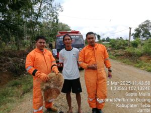 IMG-20250303-WA0046
