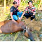 CamScanner 08-06-2025 23.15