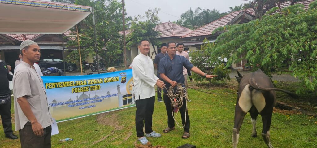 IMG-20250606-WA0027