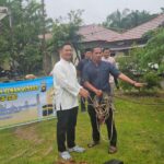 IMG-20250606-WA0027