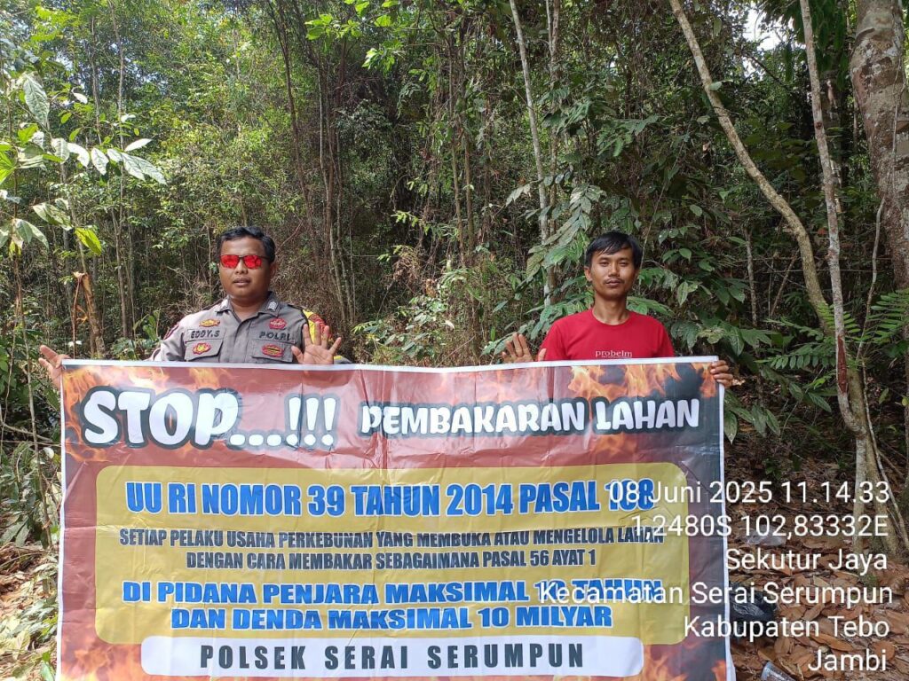 IMG-20250609-WA0012
