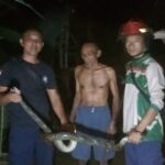 Buat Panik Warga Sekitar, Ular Sanca Sepanjang 2 Meter Berhasil Di Evakuasi Petugas Damkar Tebo