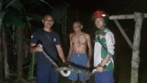IMG-20250822-WA0074